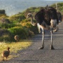 Reports help us track the ecological situation